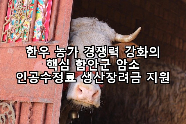 한우 농가 경쟁력 강화의 핵심 함안군 암소 인공수정료 생산장려금 지원